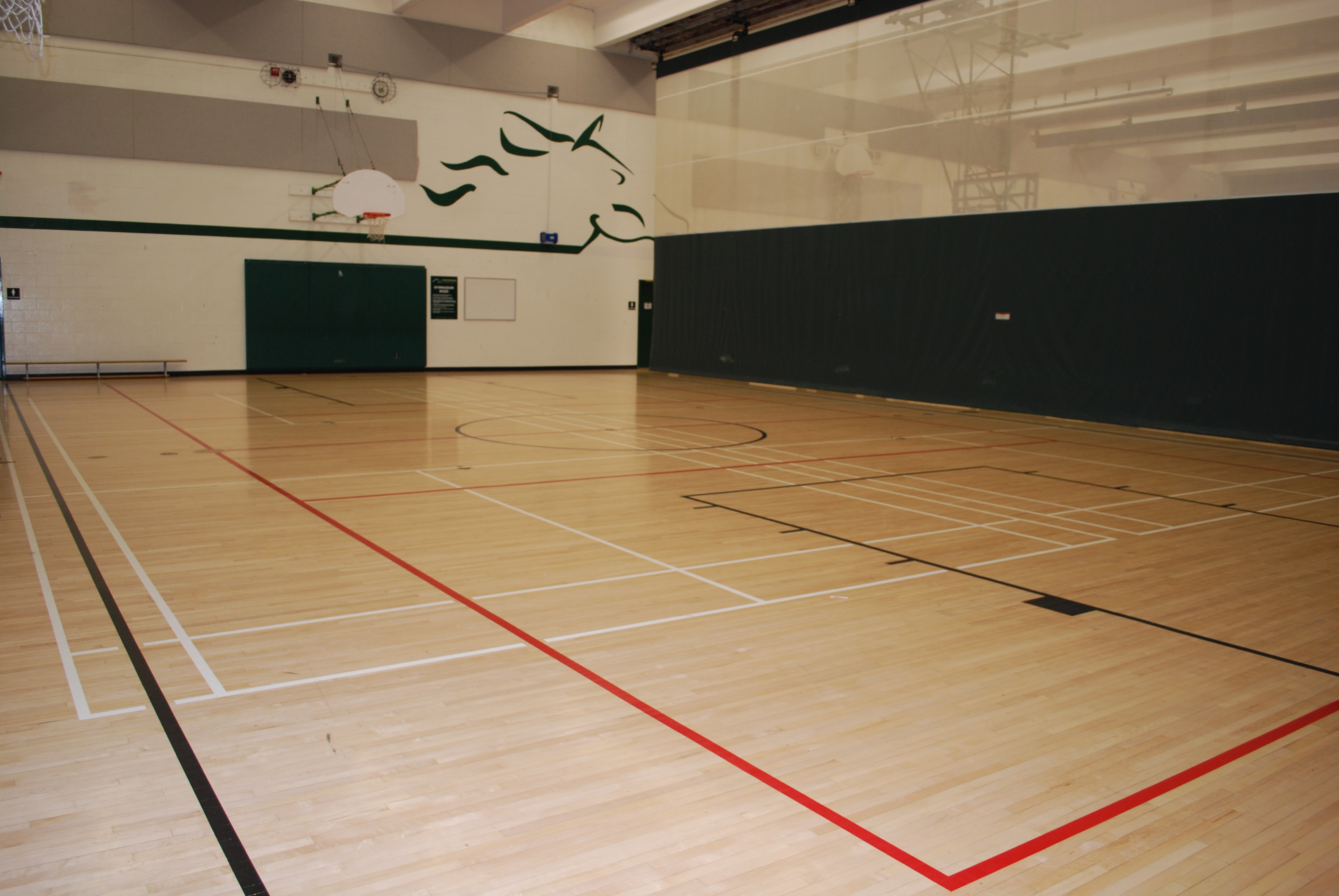 The Gym